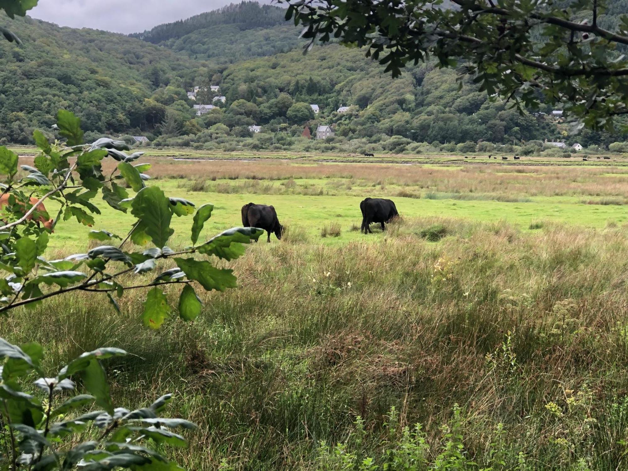 Snowdonia Mawddach Escape Villa Dolgellau Luaran gambar